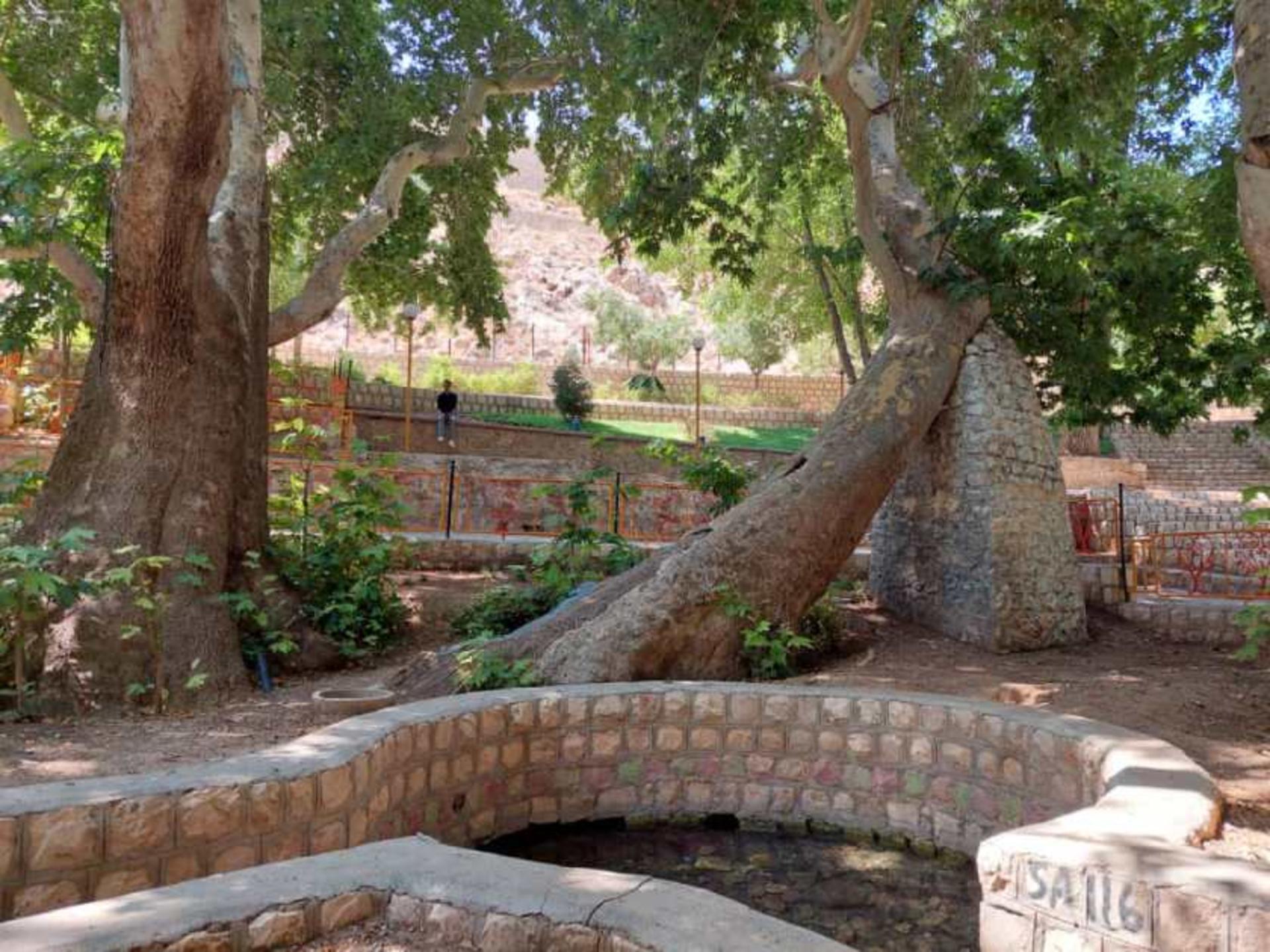 چشمه سیاسرد بروجن
