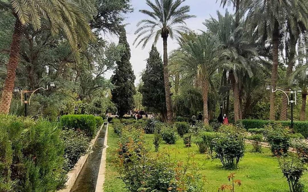 درختان گرمسیری و سردسیری در باغ گلشن طبس