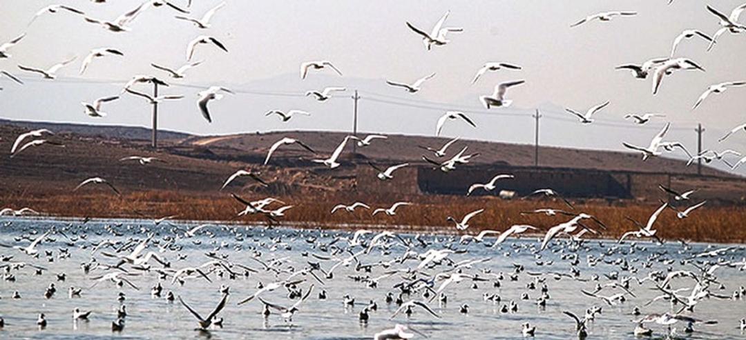 تالاب عشق آباد