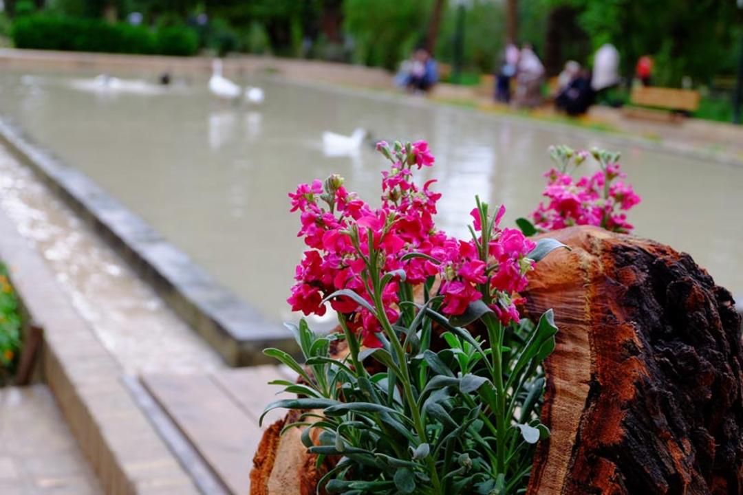 بهار در باغ گلشن طبس