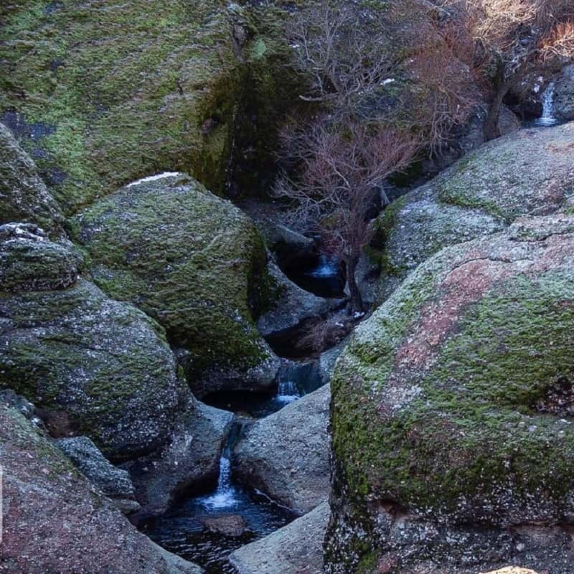 مخمل کوه لرستان