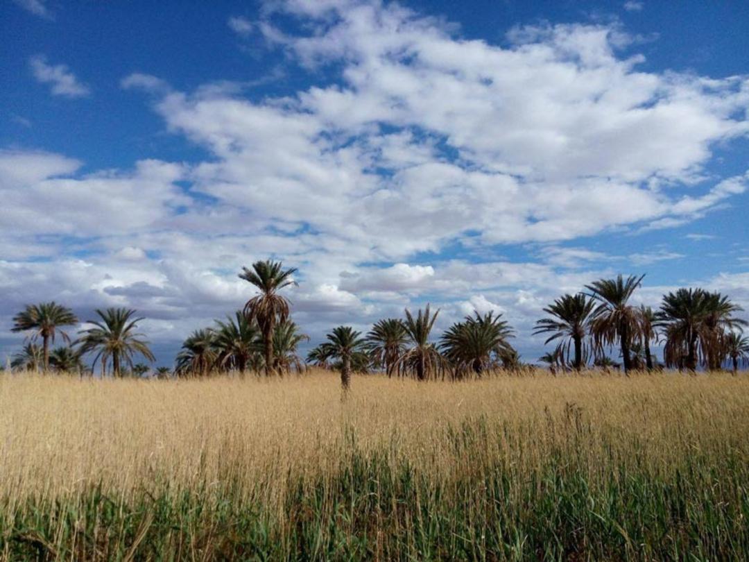 مزرعه تشتاب در دهکده نمکی پتاس