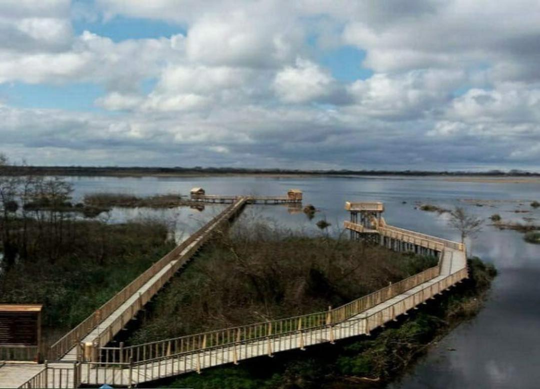 تالاب امیر کلایه