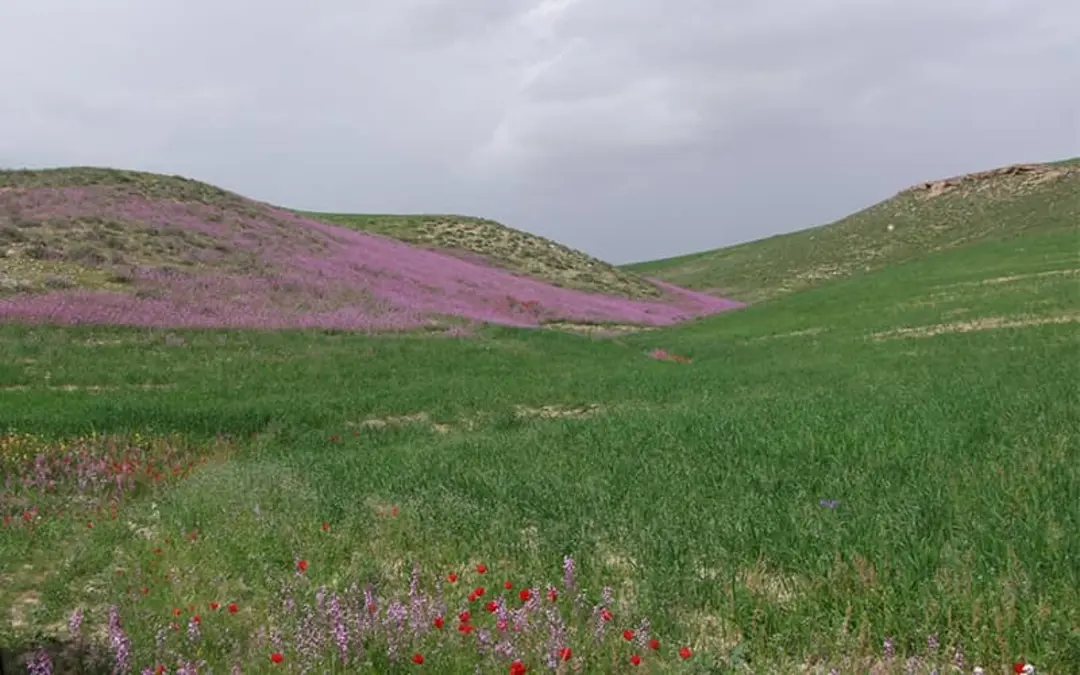 روستای بزنگان