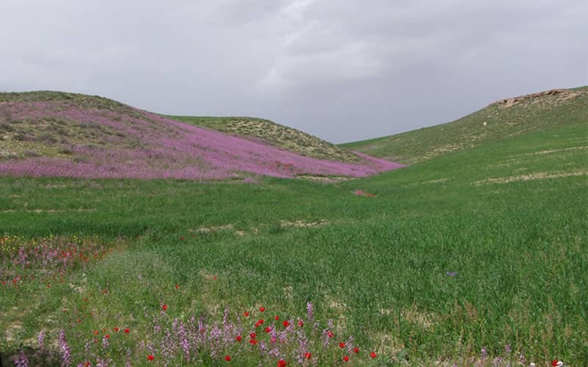 روستای بزنگان