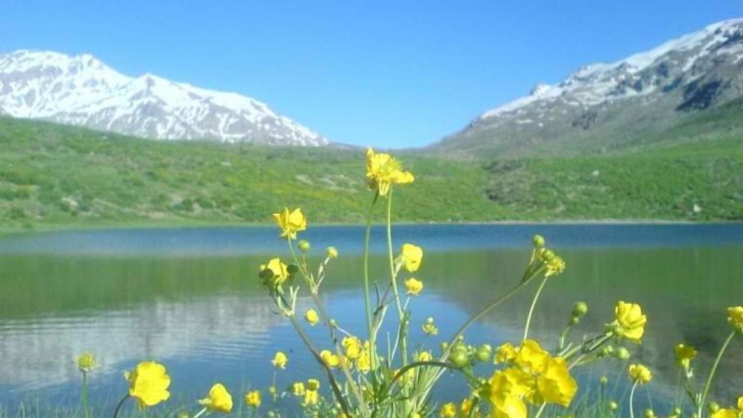 کوه گل سی سخت
