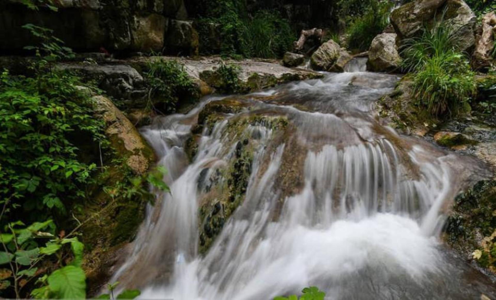 طبیعت جنگل لوه
