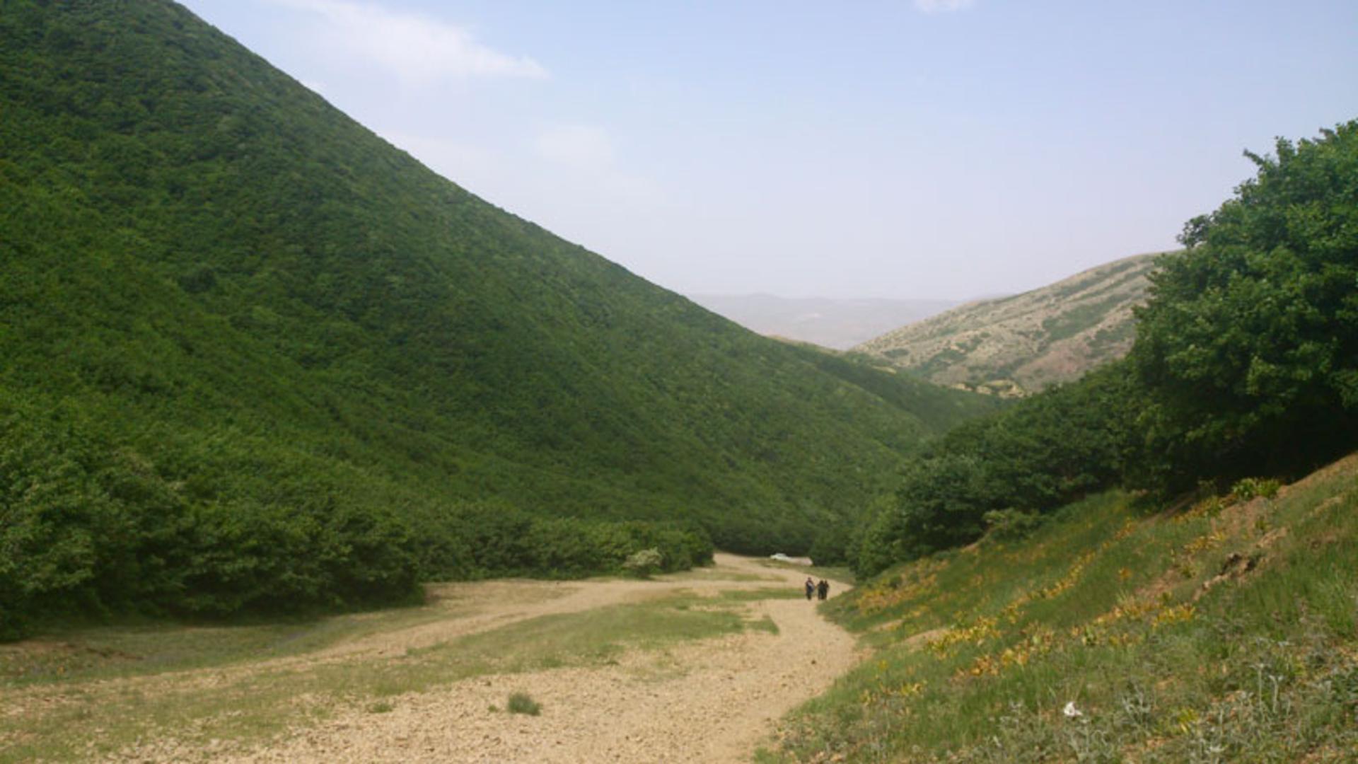 جنگل‌های هیرکانی اطراف روستای اندبیل