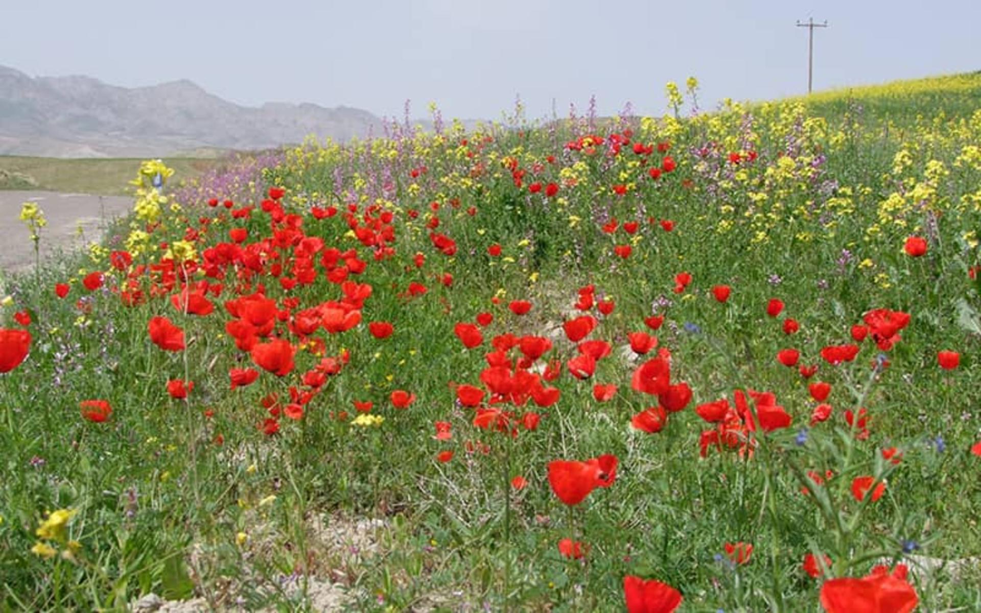 روستای بزنگان