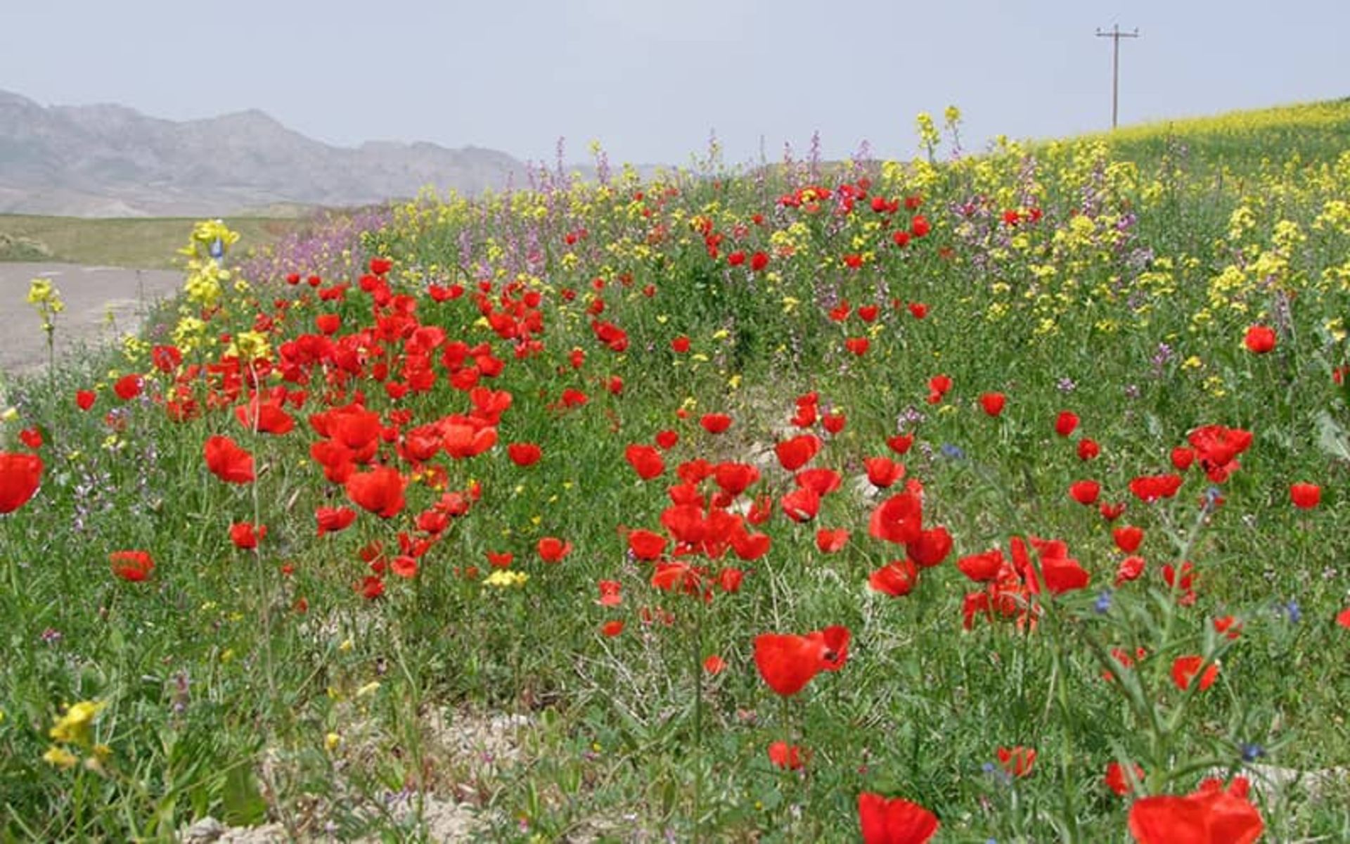 روستای بزنگان