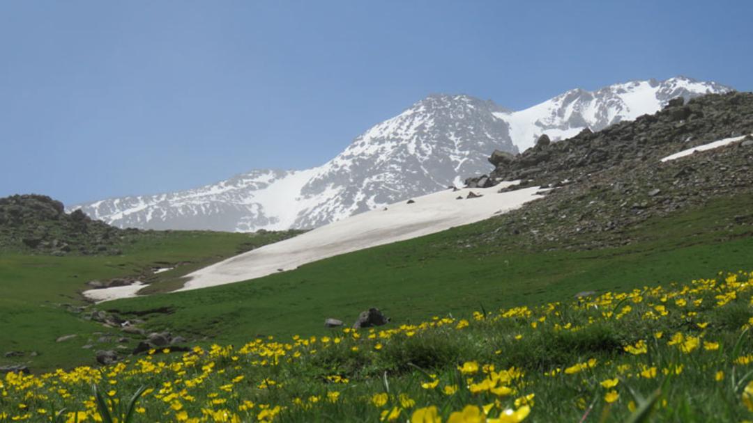 مراتع اطراف کوه سبلان