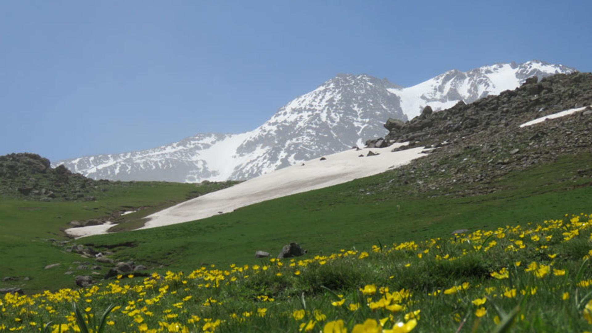 مراتع اطراف کوه سبلان
