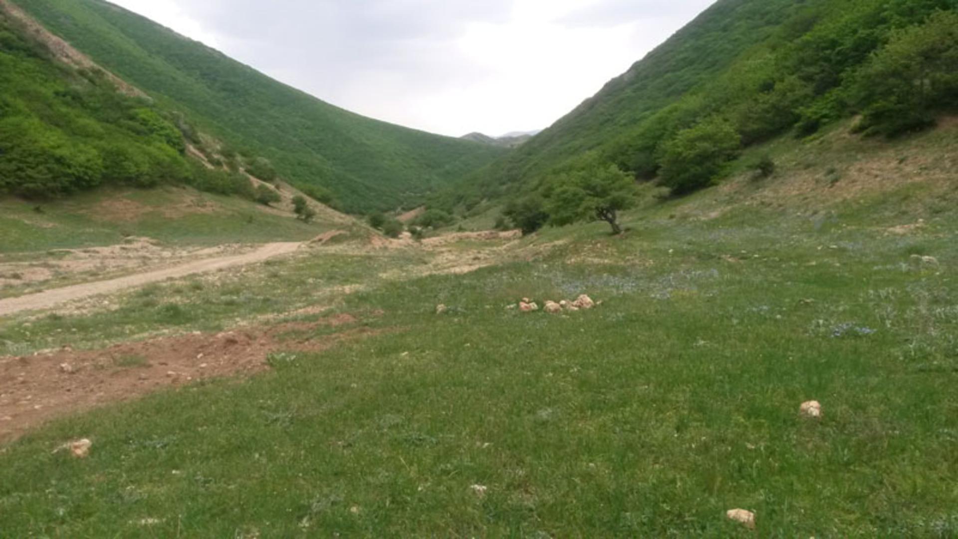 جنگل‌های هیرکانی اطراف روستای اندبیل