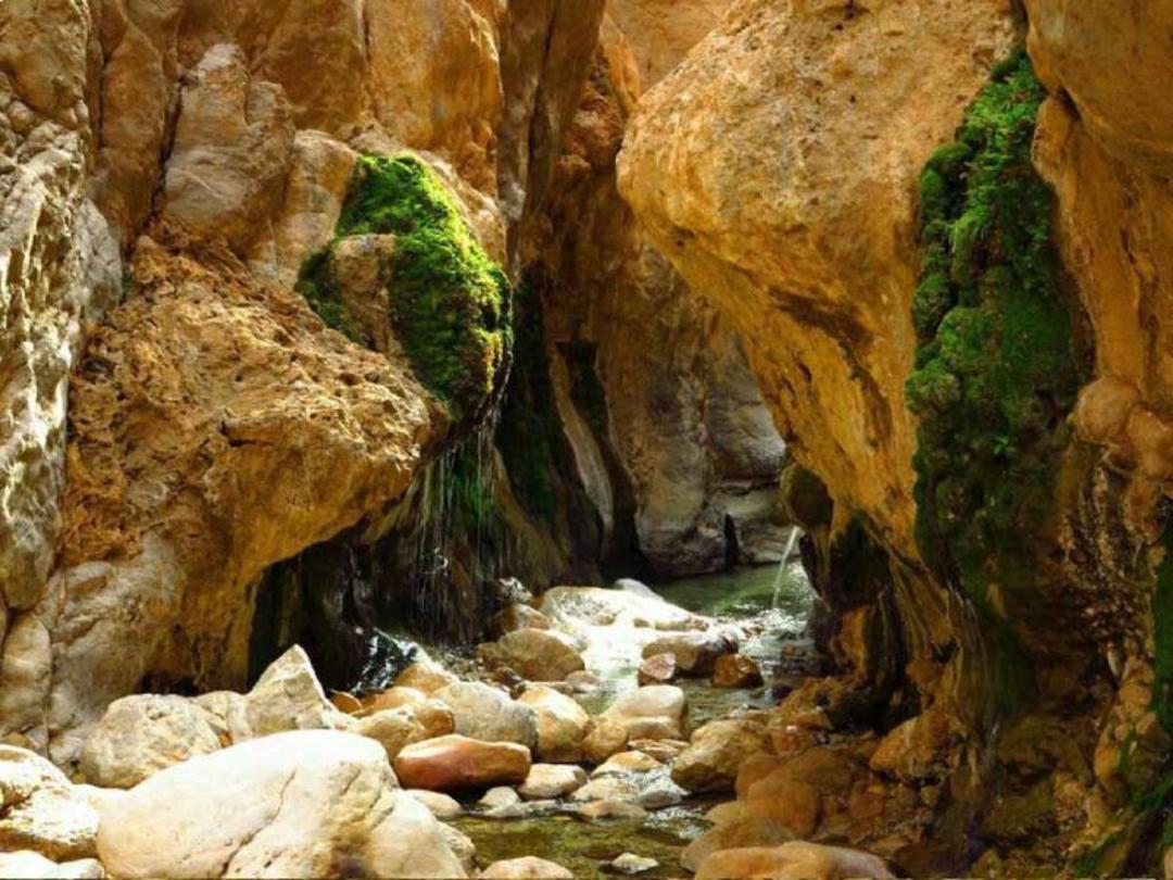 چشمه مرتضی علی طبس