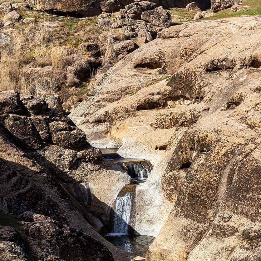 مخمل کوه لرستان