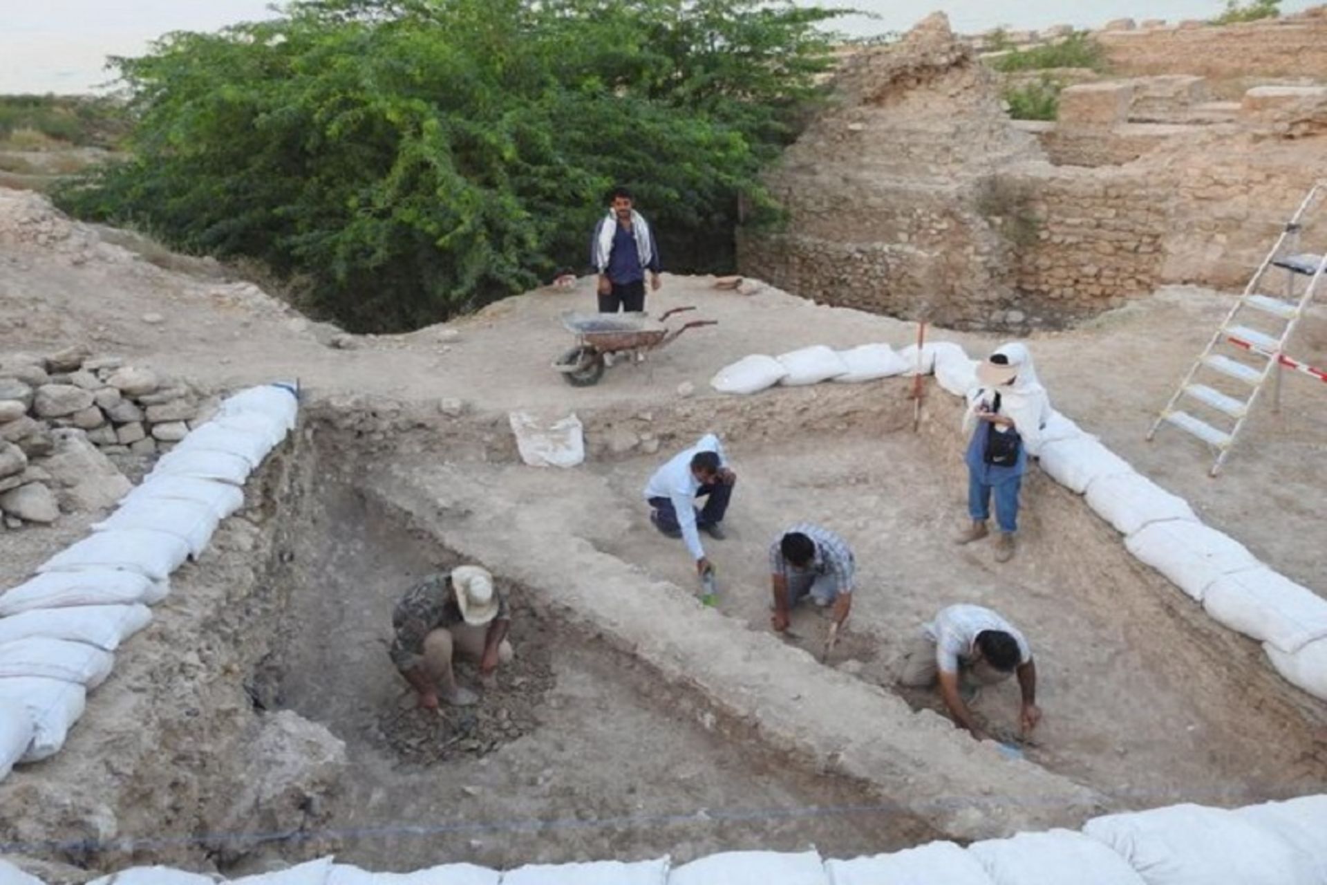 بندر تاریخی سیراف