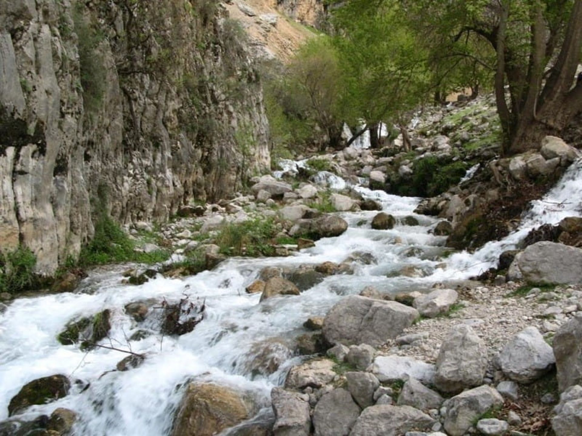 روستای شیوند