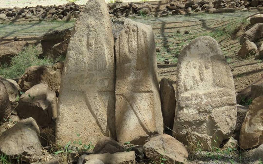 شهر یئری