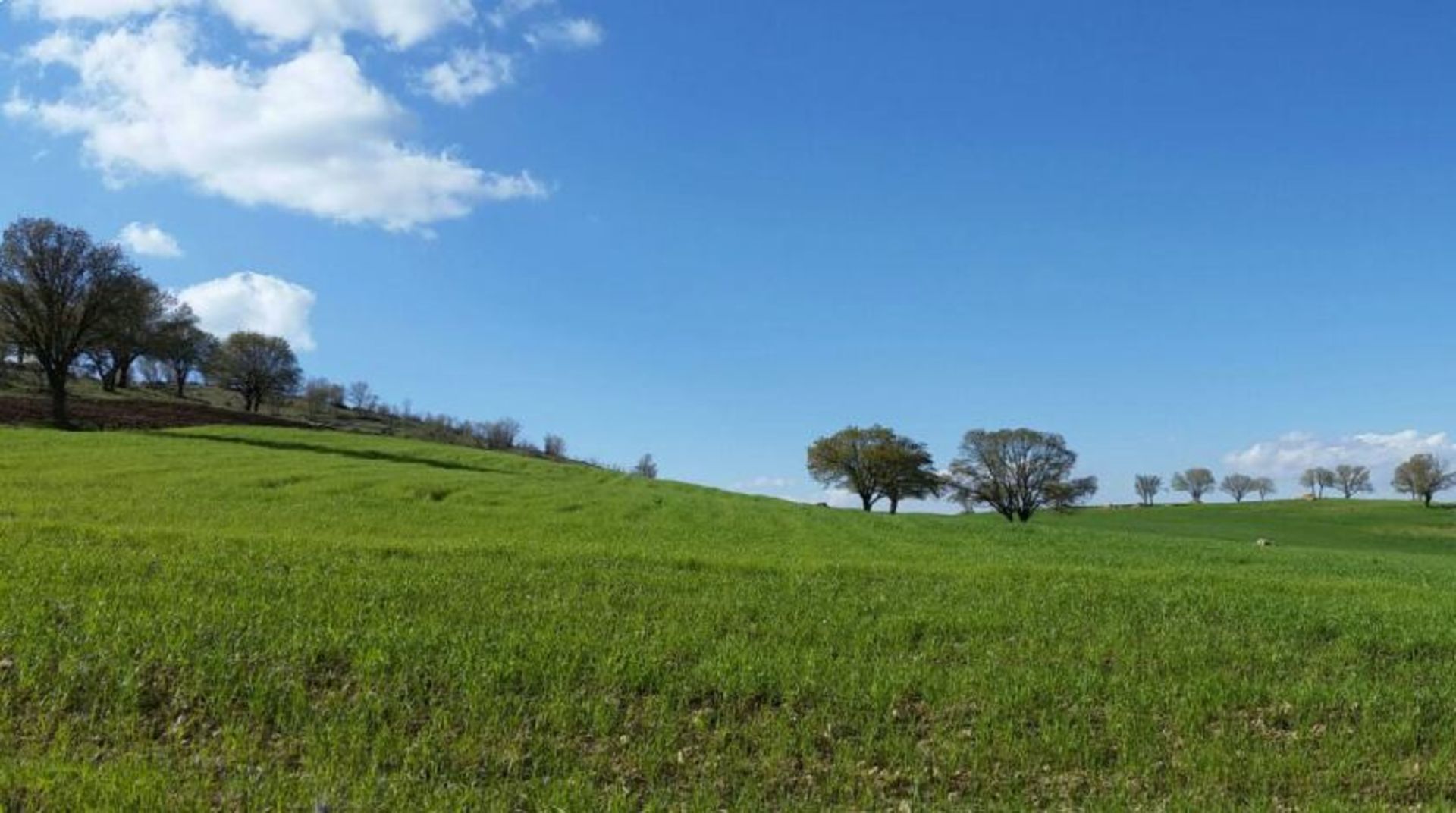 طبیعت اسلام آباد غرب