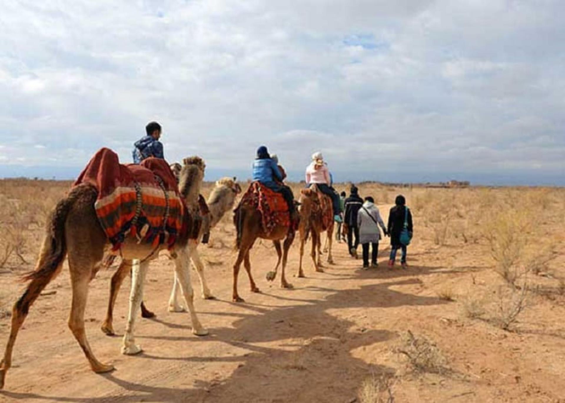 اکو کمپ متین آباد
