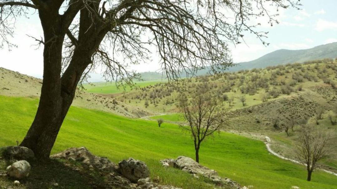 طبیعت اطراف اسلام آباد غرب
