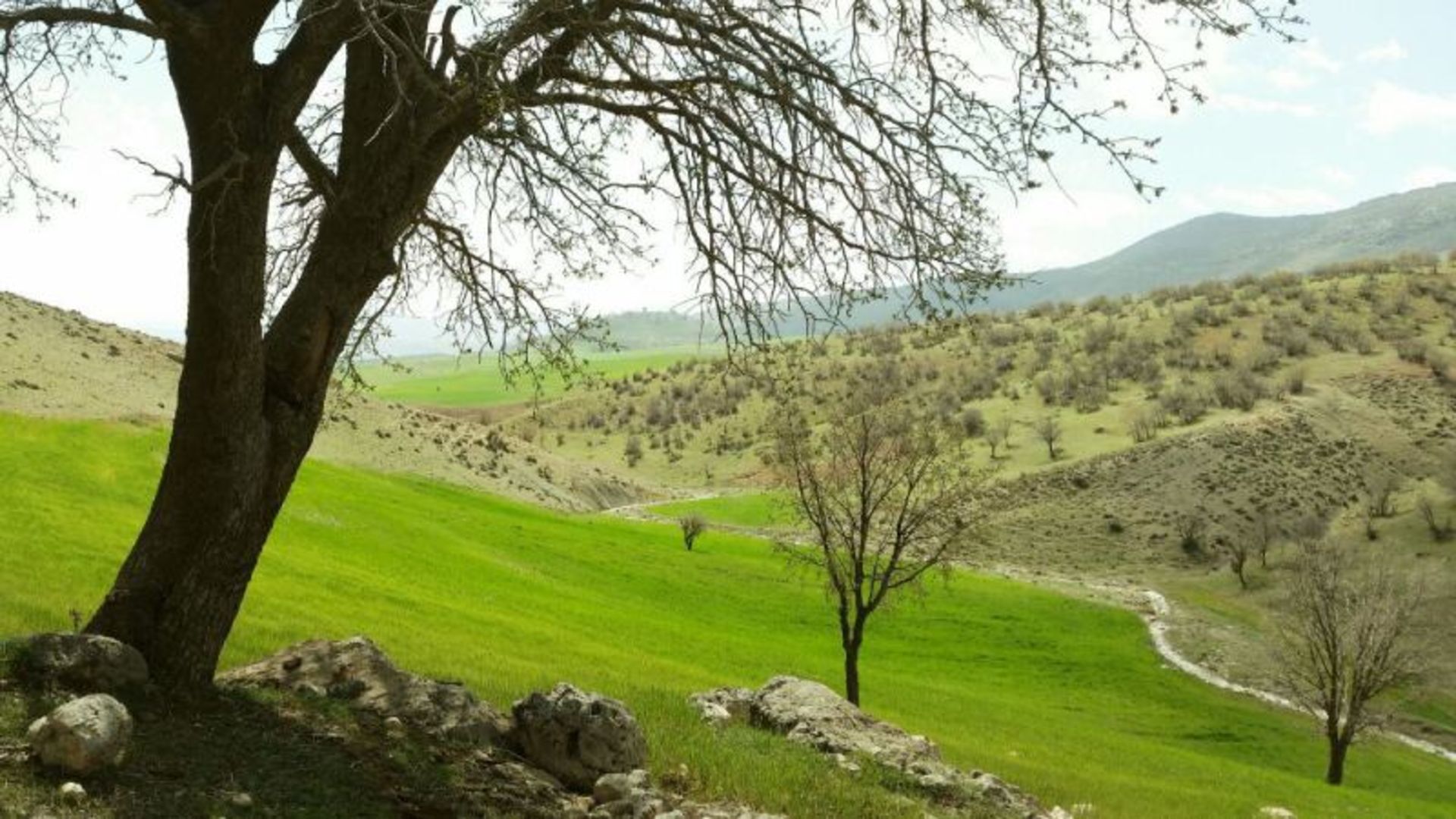 طبیعت اطراف اسلام آباد غرب