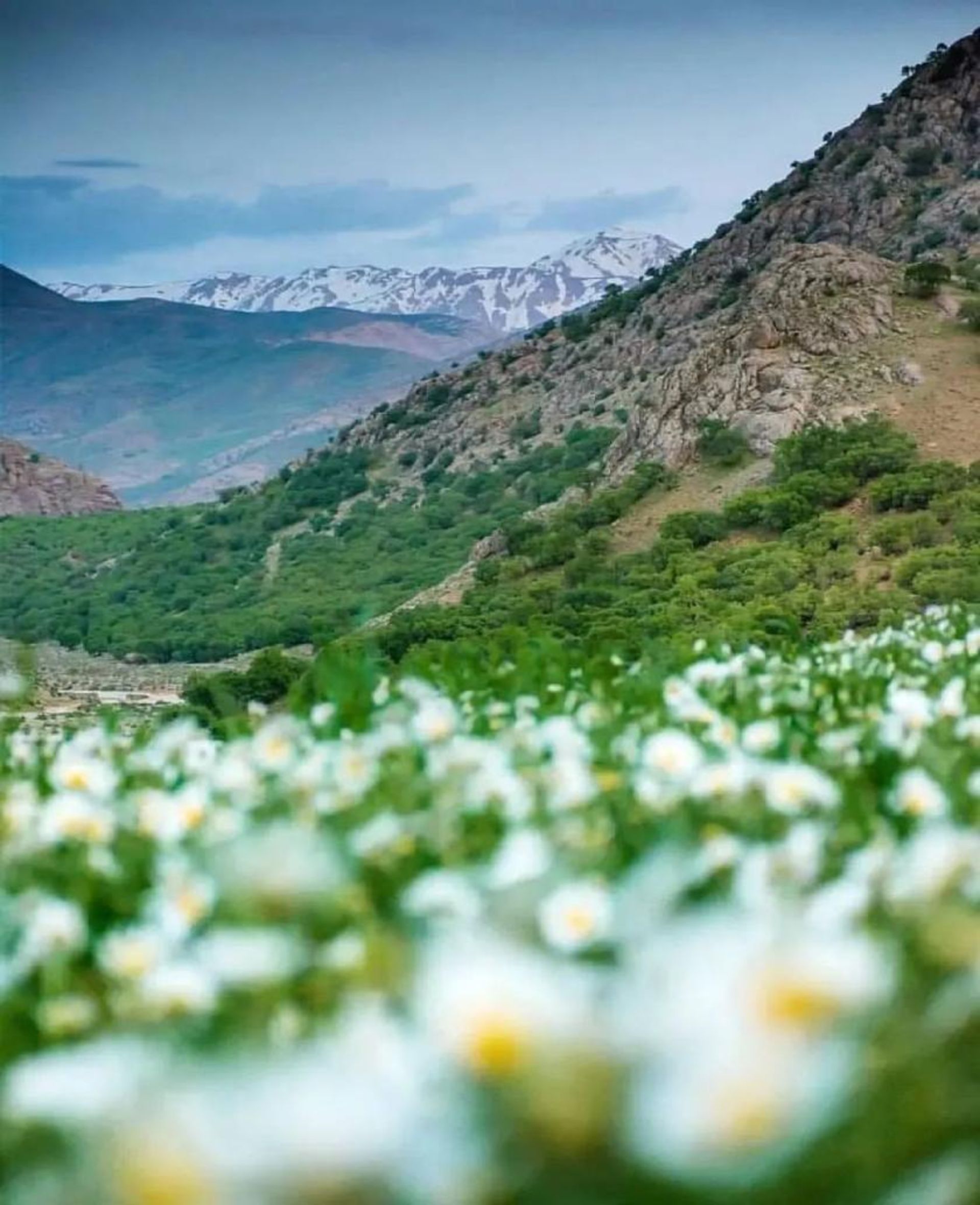 طبیعت اطراف جهرم