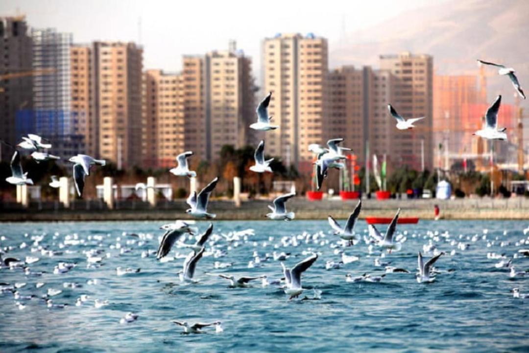 دریاچه چیتگر 
