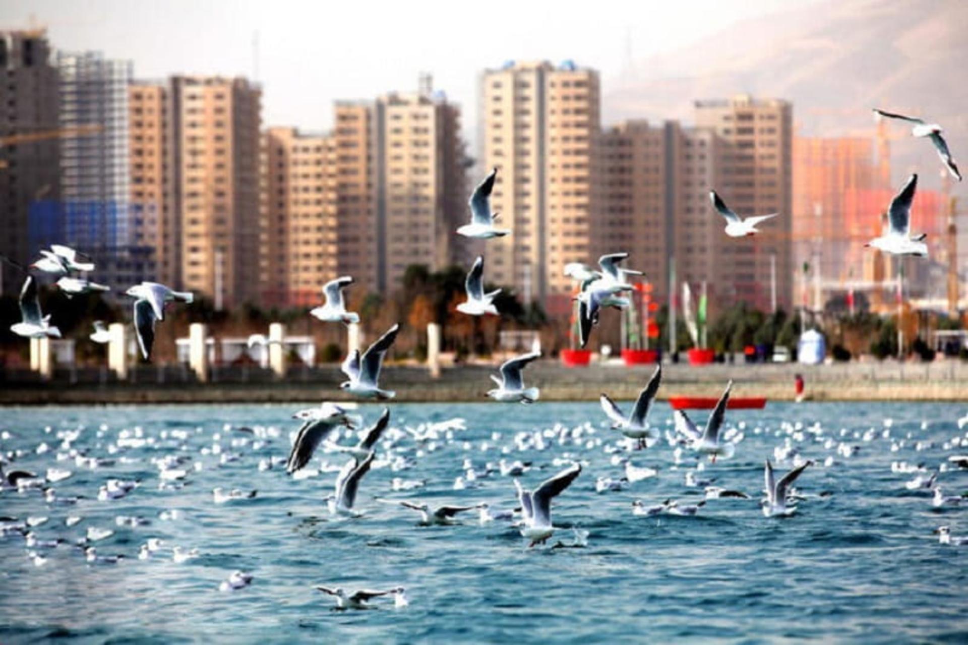 دریاچه چیتگر 