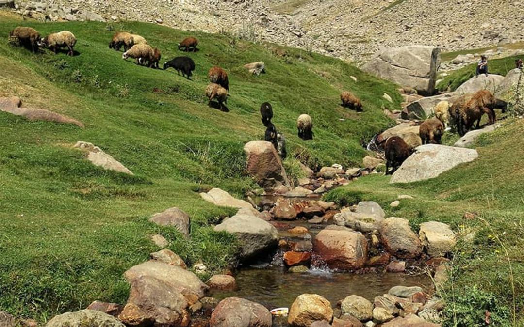 دهکده گنجنامه