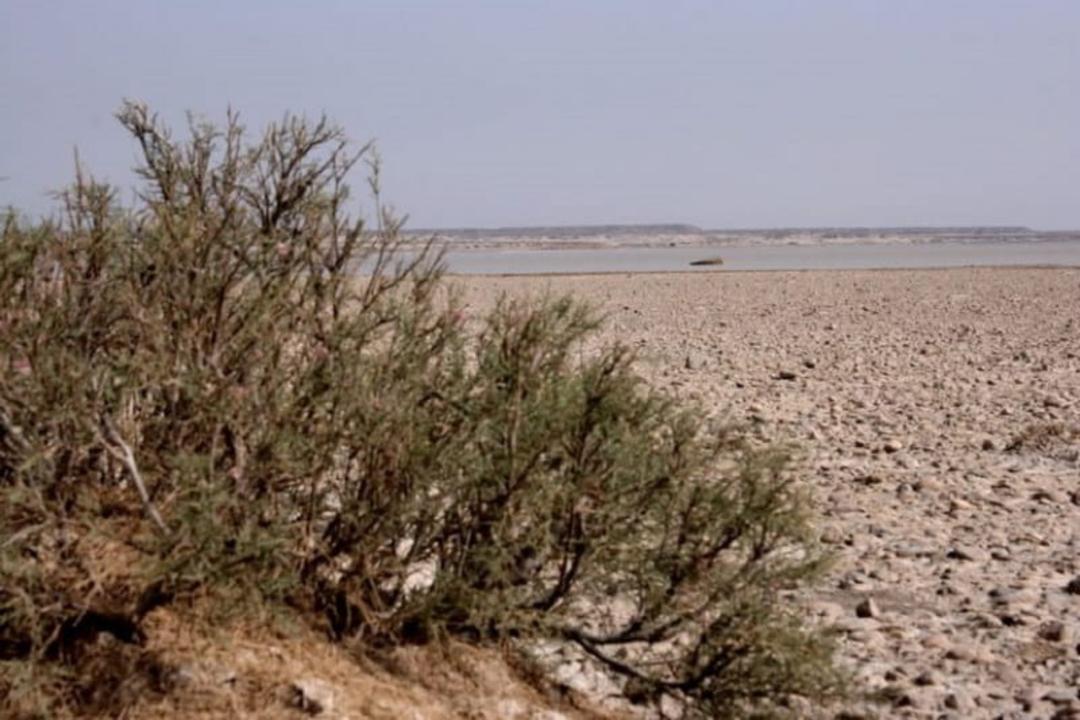 تالاب هامون