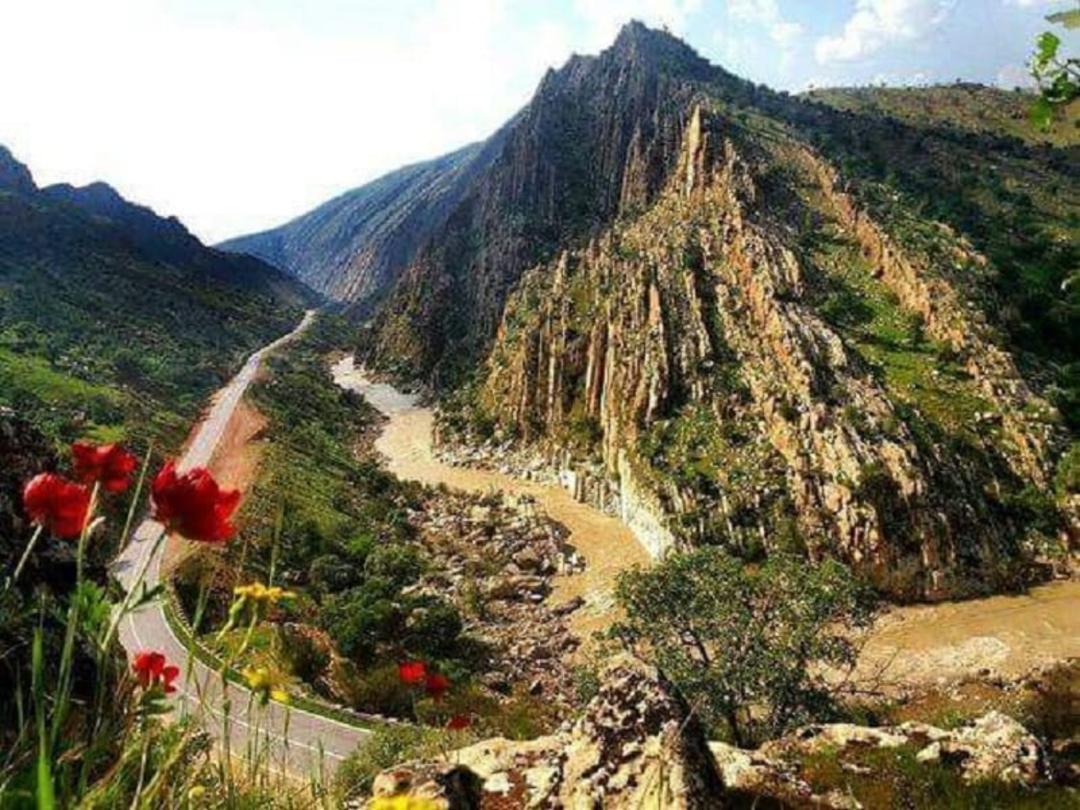 پارک جنگلی مخمل کوه
