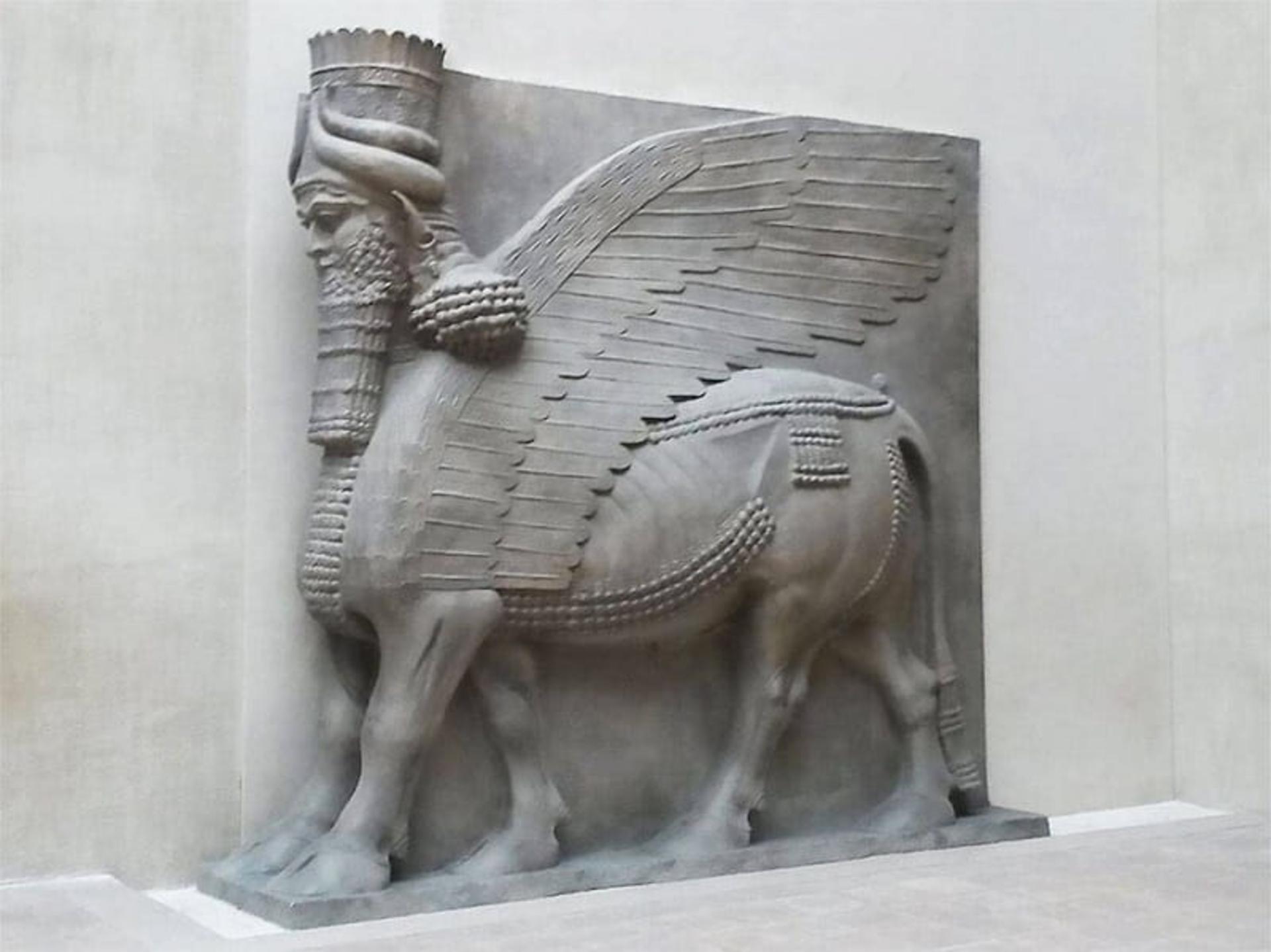 گاوهای بالدار