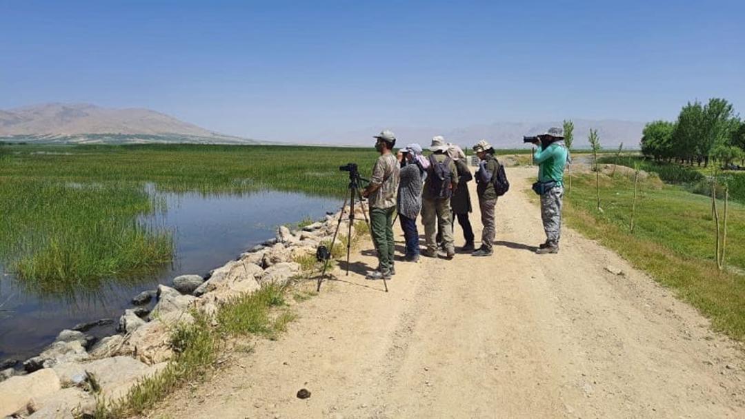 تالاب گندمان