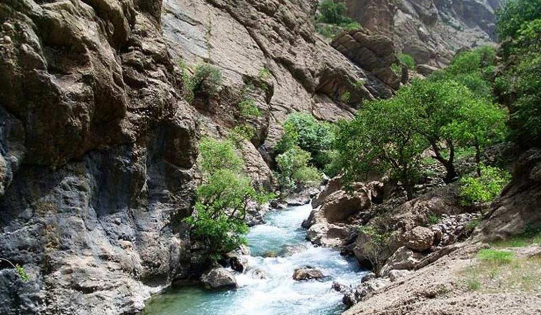 جریان رودخانه در میانه مسیر دره نی گاه لرستان