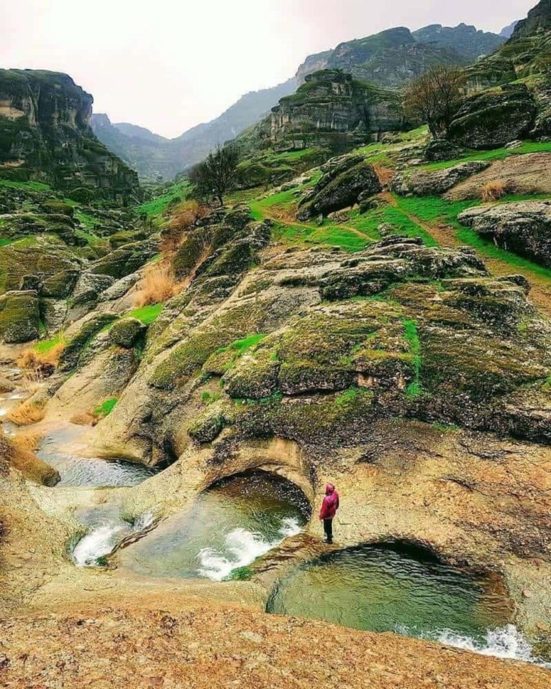 مخمل کوه لرستان