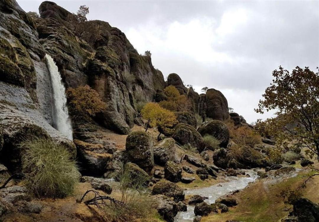 مخمل کوه