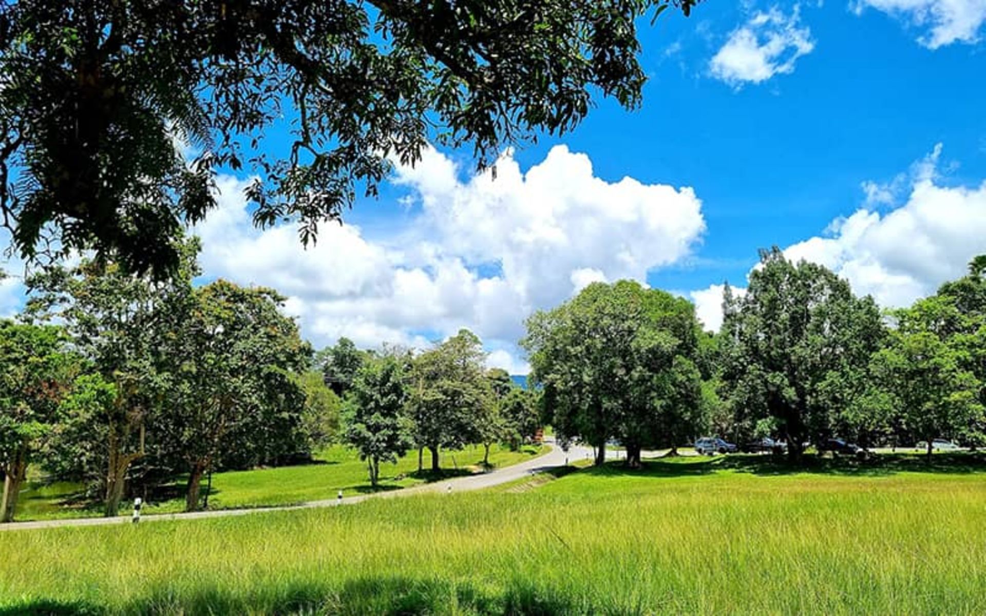 پارک ملی کائو یای