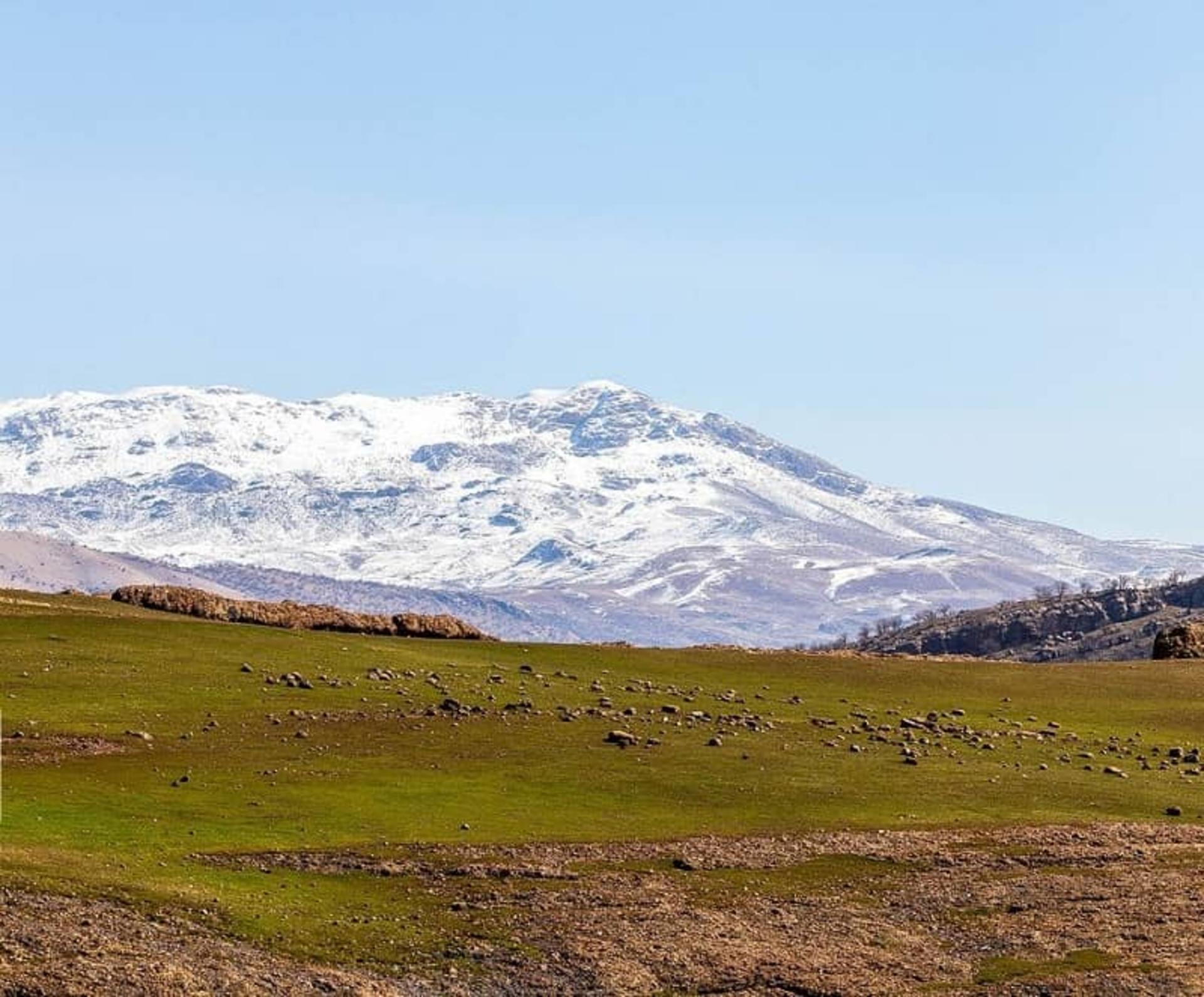 مخمل کوه لرستان
