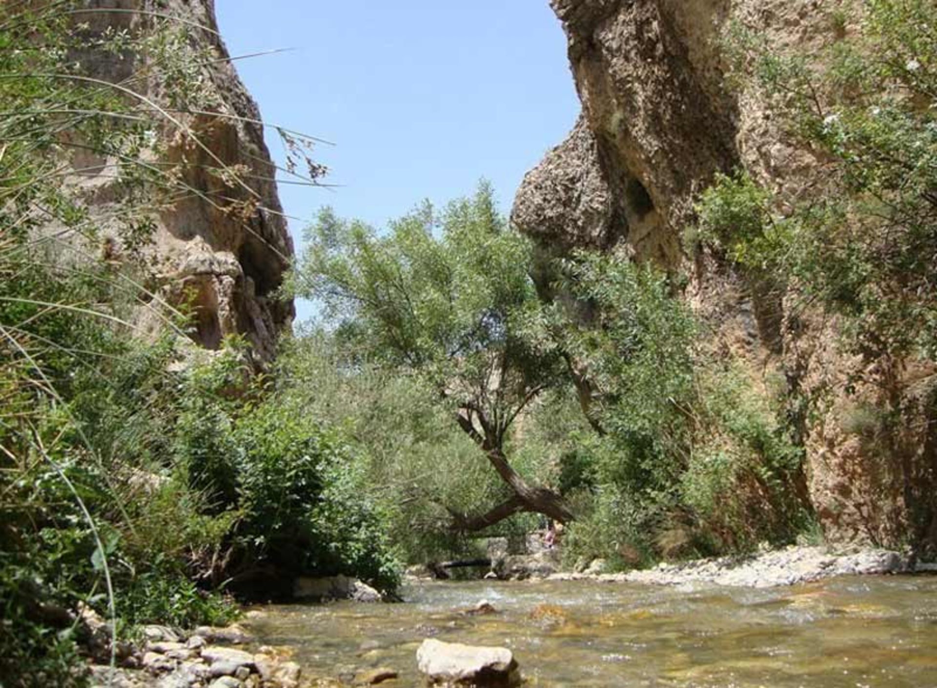 طبیعت چله گاه سپیدان میان کوه در مسیر رودخانه
