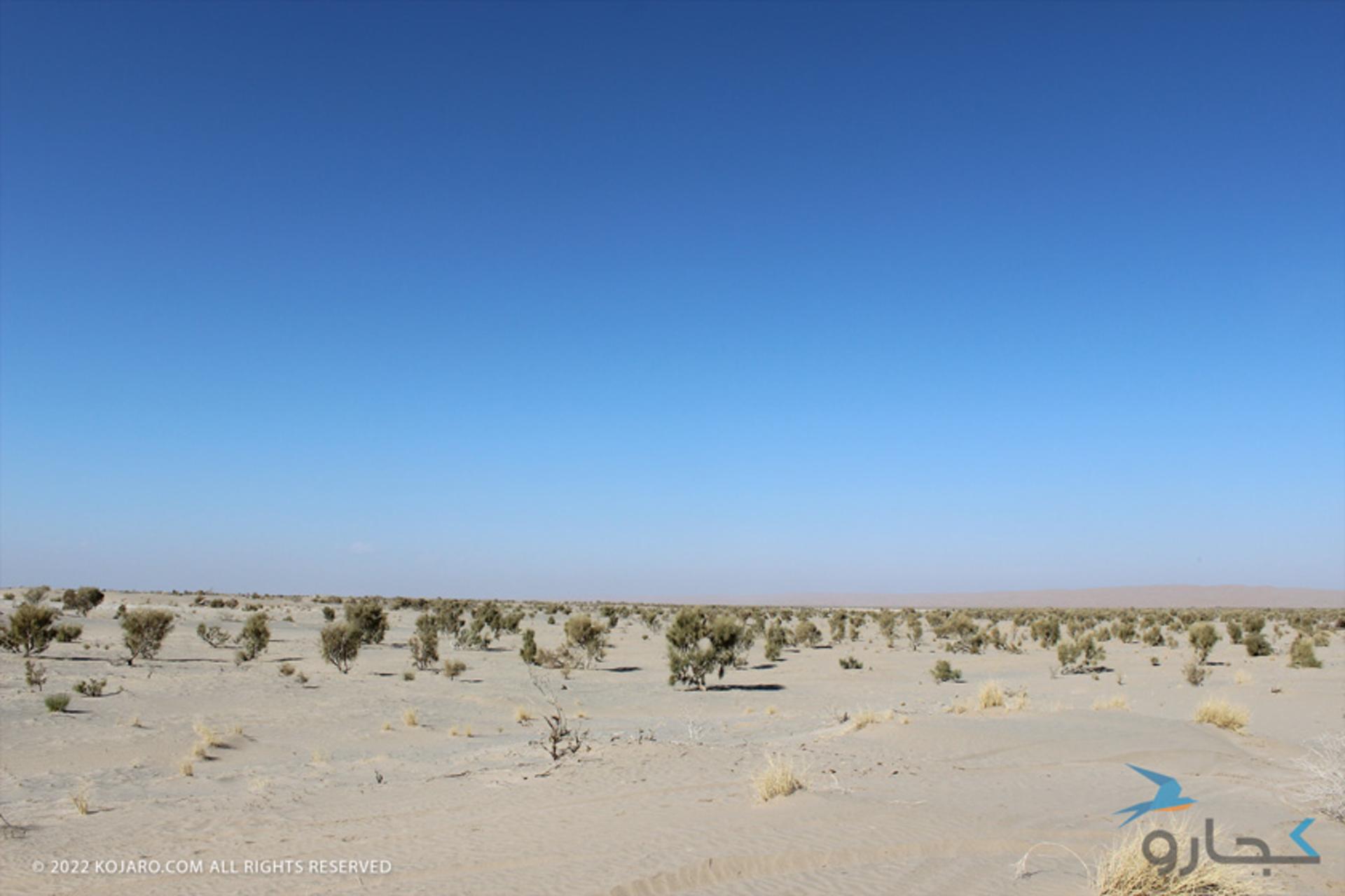 کویر سیازگه