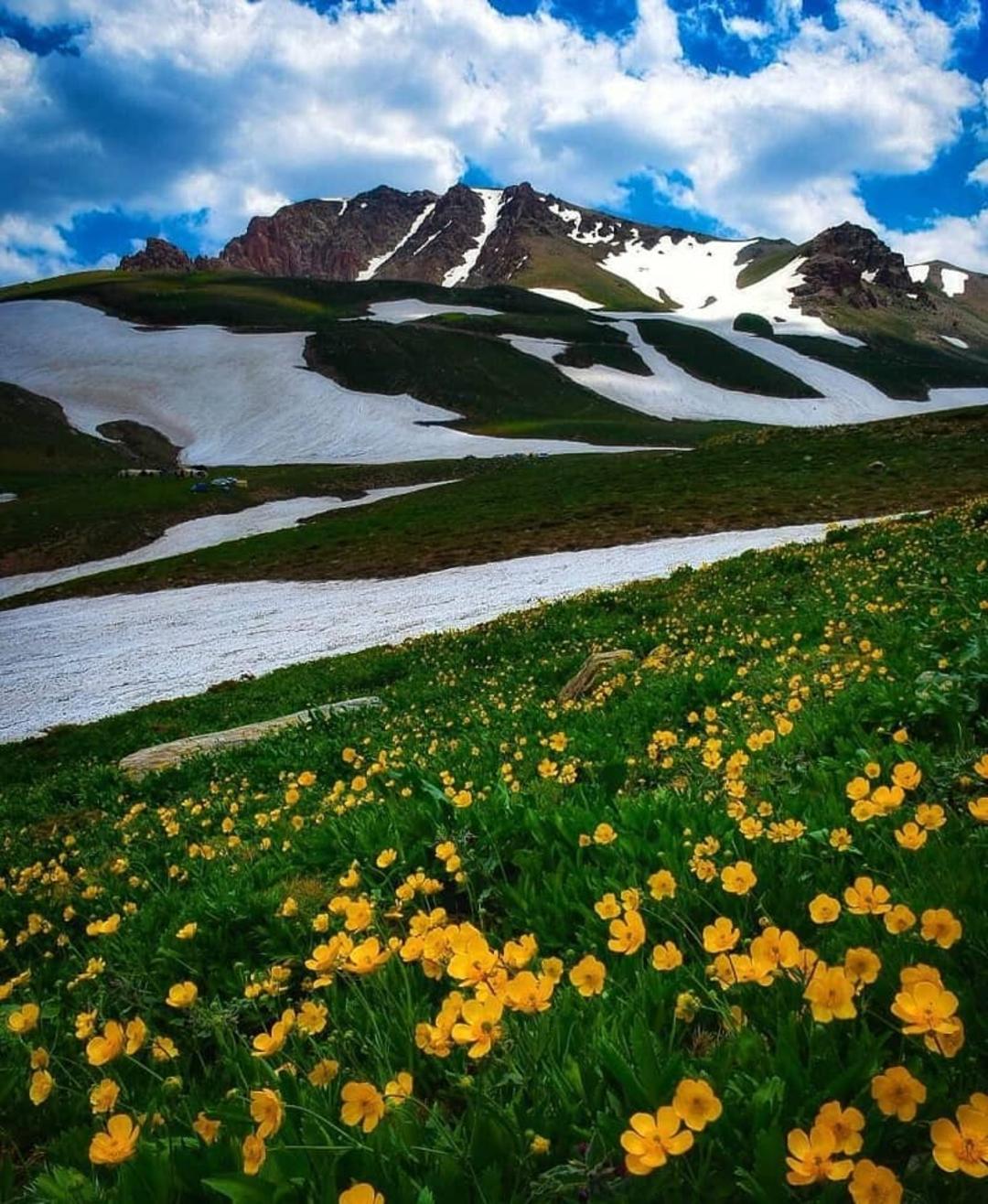 کوه بوز سینا