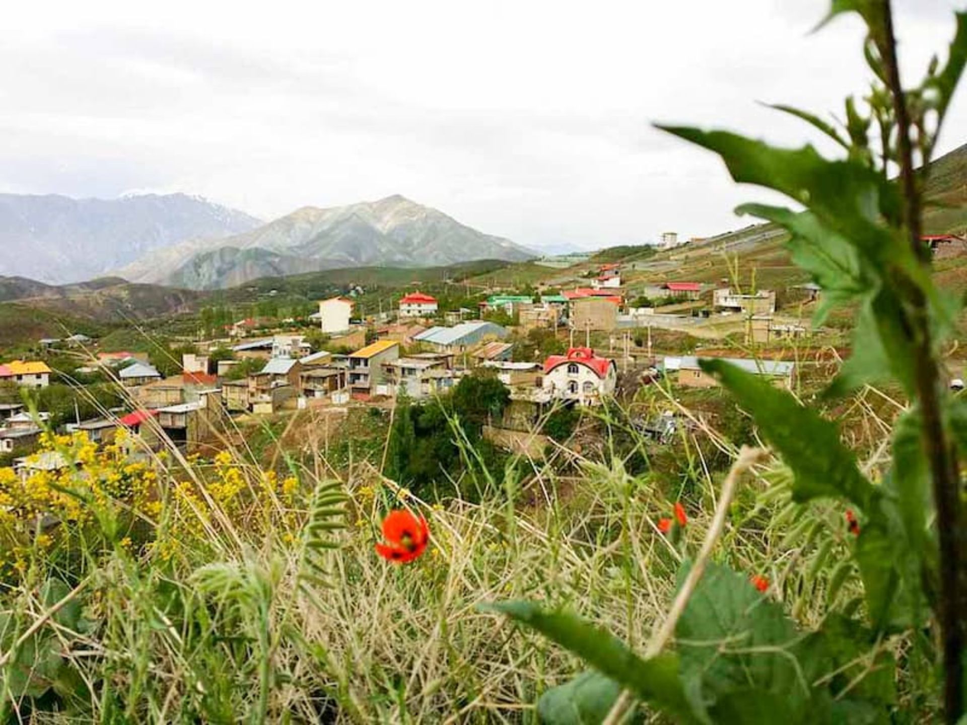 طبیعت بهاری روستای امامه