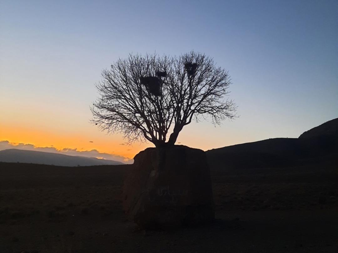 غروب خورشید و مروارید سبز