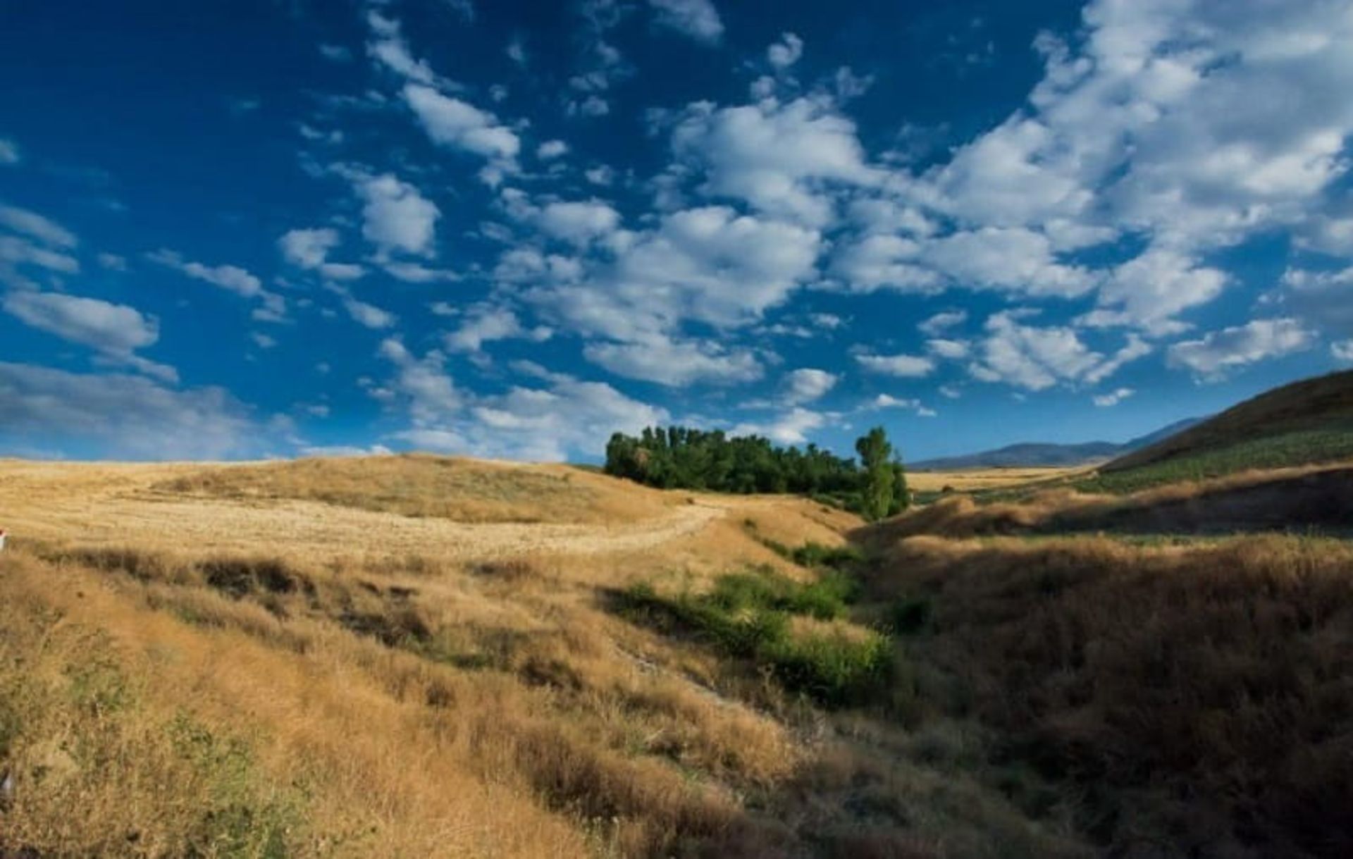 روستای آهار