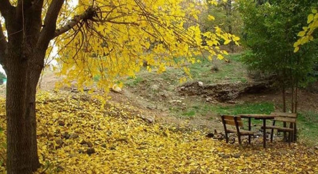 طبیعت پاییزی پارک جنگلی سرخه حصار