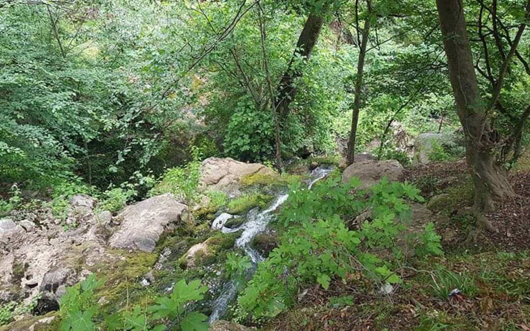 پارک ملی گلستان