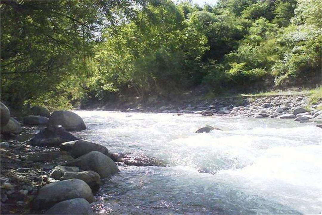 رودخانه کردان در دل جنگل