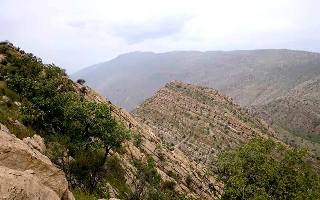 کوهستانی سرسبز