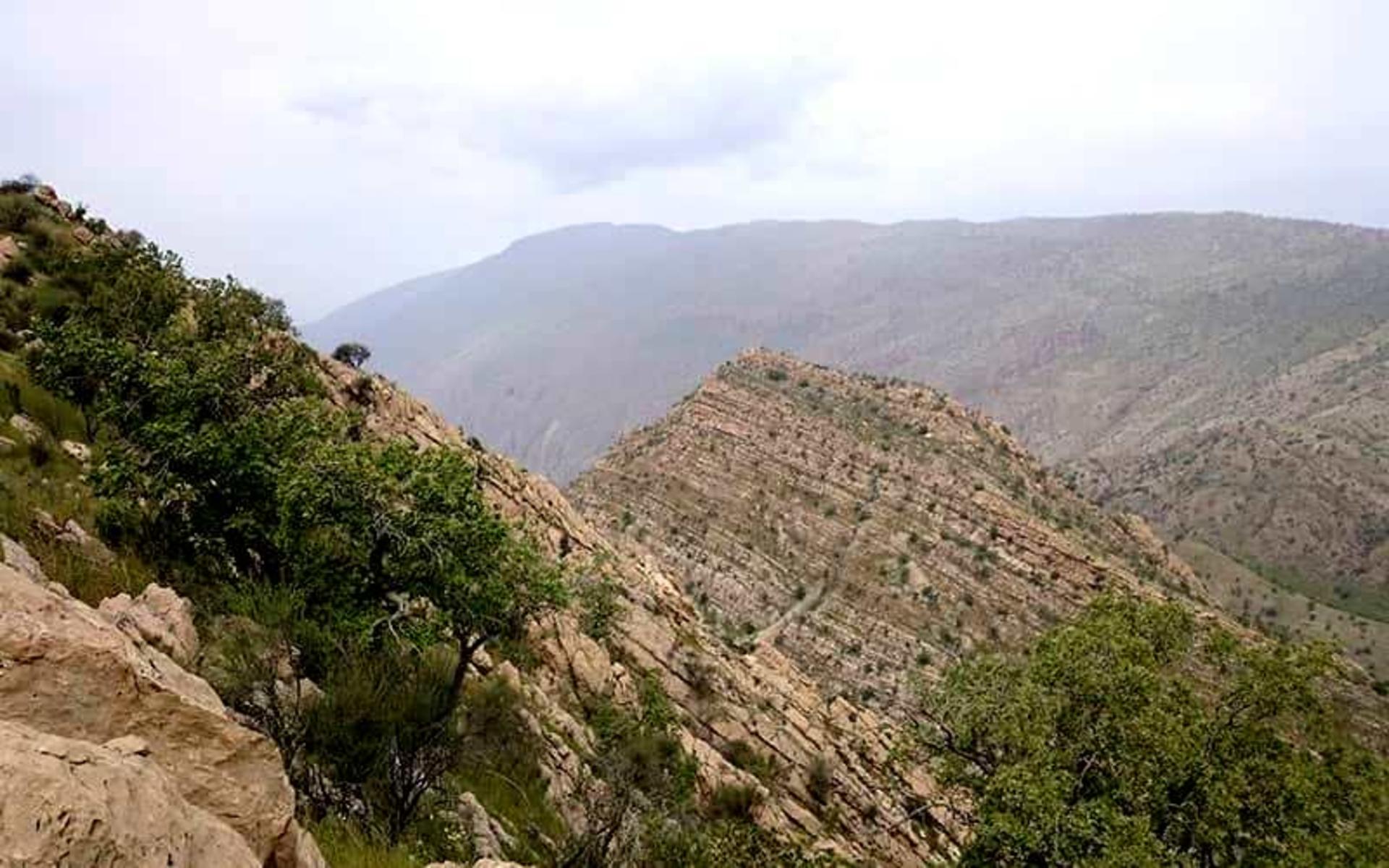 کوهستانی سرسبز